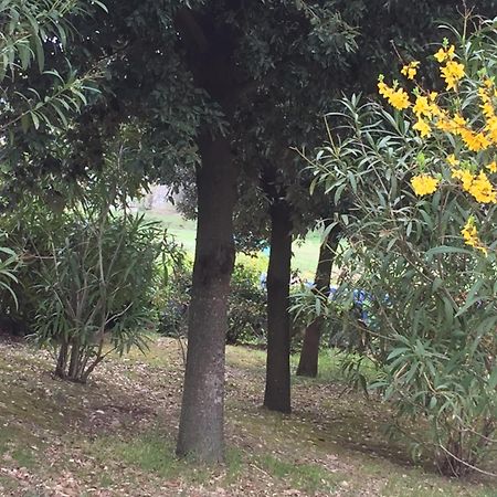 Appartamento Dell Agriturismo Pane E Olio Todi Zewnętrze zdjęcie