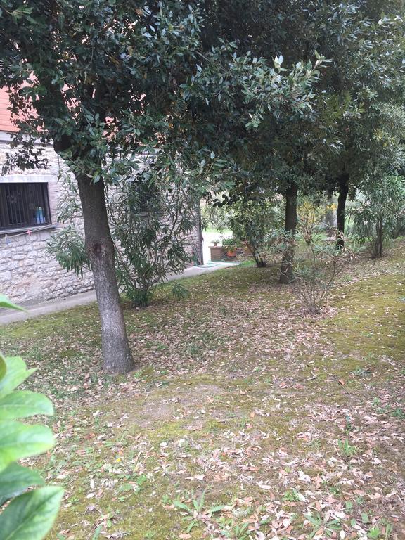Appartamento Dell Agriturismo Pane E Olio Todi Zewnętrze zdjęcie