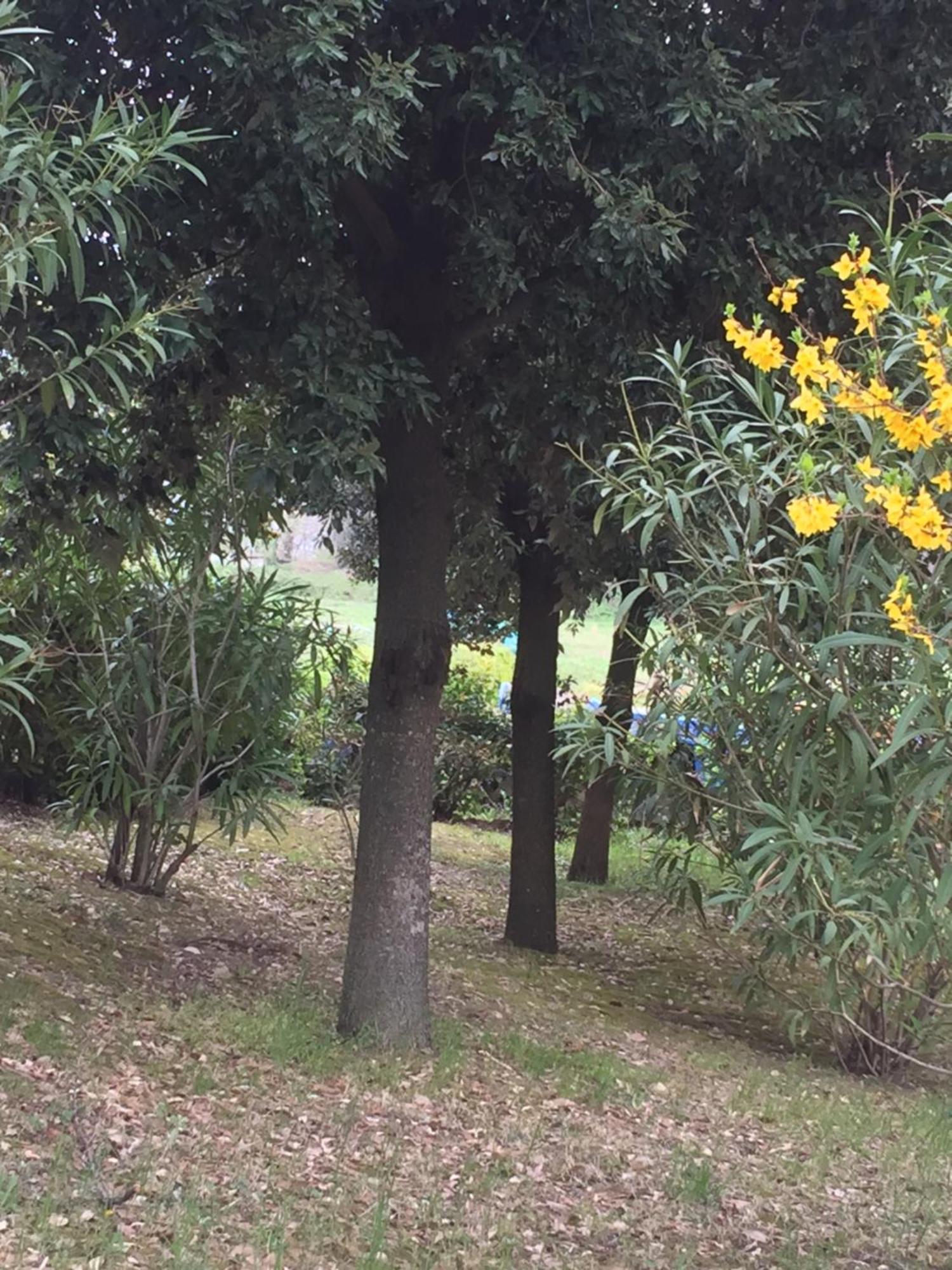 Appartamento Dell Agriturismo Pane E Olio Todi Zewnętrze zdjęcie