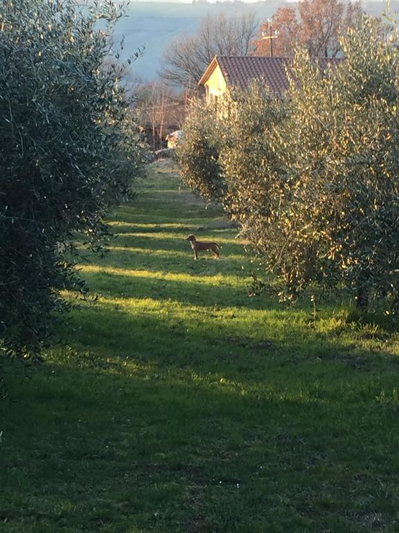 Appartamento Dell Agriturismo Pane E Olio Todi Zewnętrze zdjęcie